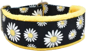 1.5" Buttercup Daisies Everyday Limited Slip Collar