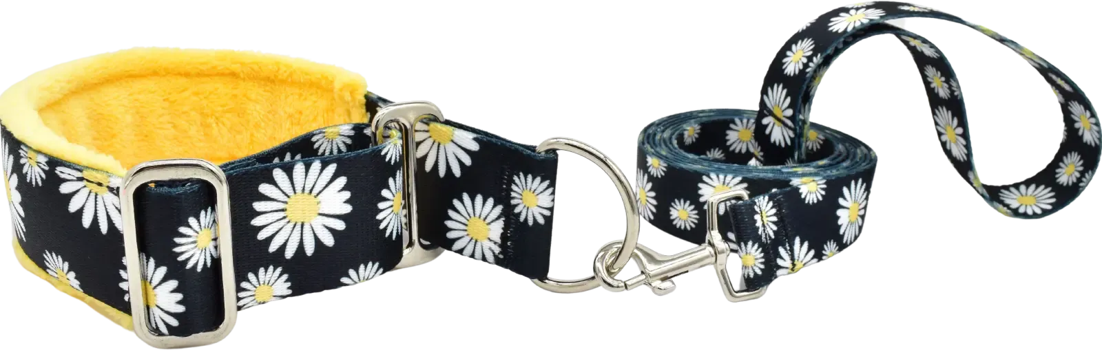 1.5" Buttercup Daisies Everyday Limited Slip Collar