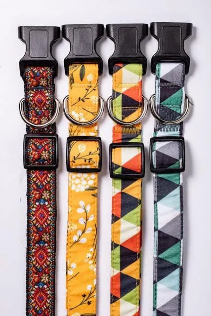 Bee Dog Collar- Quick Released , Durable and Strong Dog Collar for Small , Medium & Large Dogs