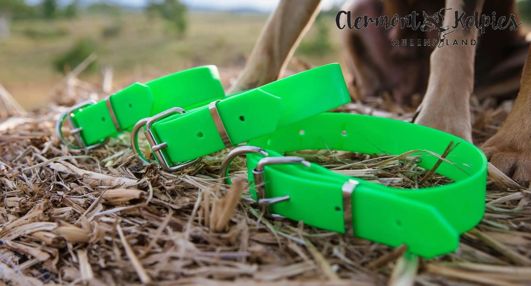 Dog Collar PVC 32mm x 70cm - Fluro Green