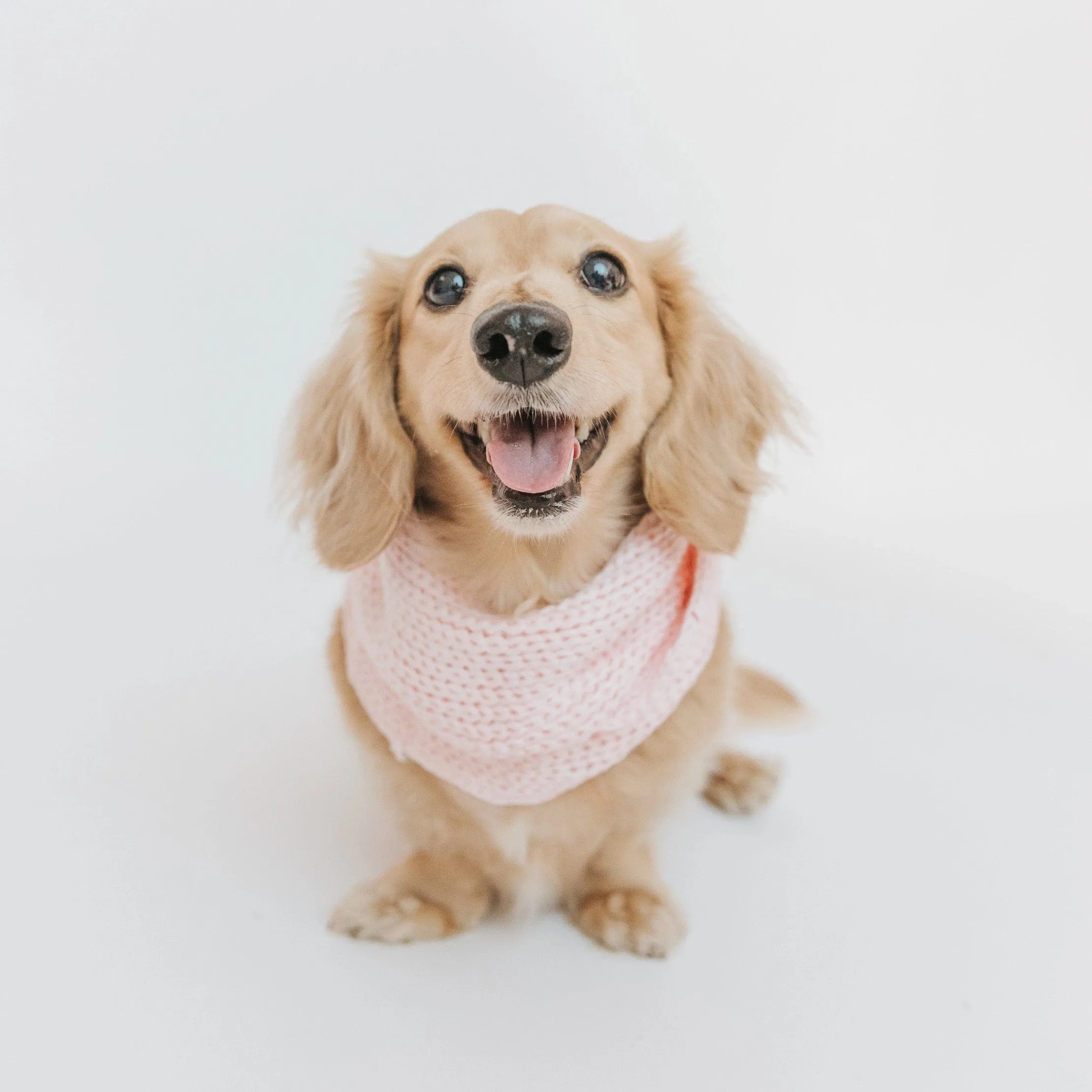 Matching Dog and Owner Pink Knitted Scarf | Cute Infinity Pink Dog Scarf