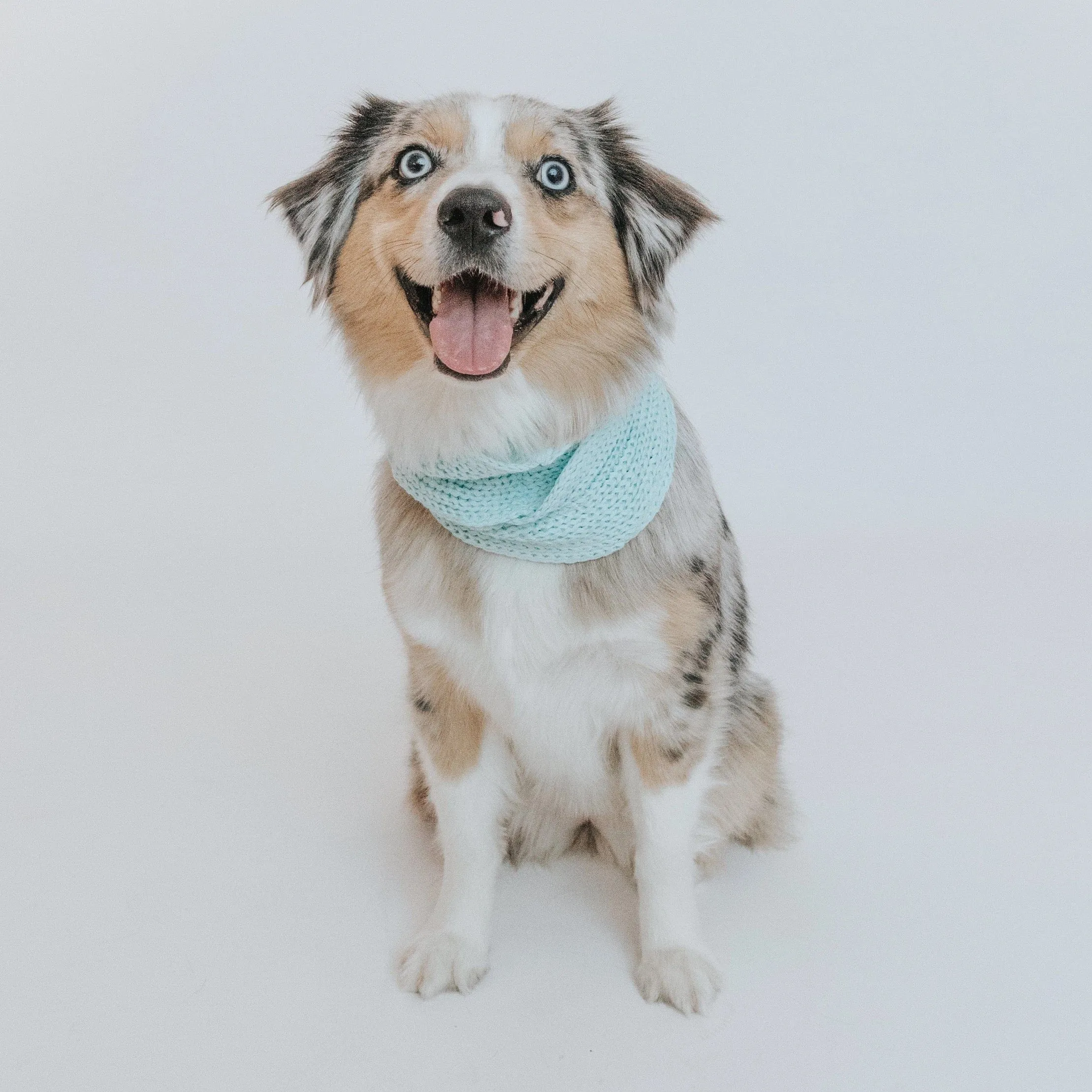 Matching Dog and Owner Pink Knitted Scarf | Cute Infinity Pink Dog Scarf
