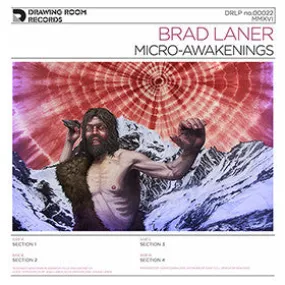 Micro-Awakenings