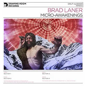Micro-Awakenings
