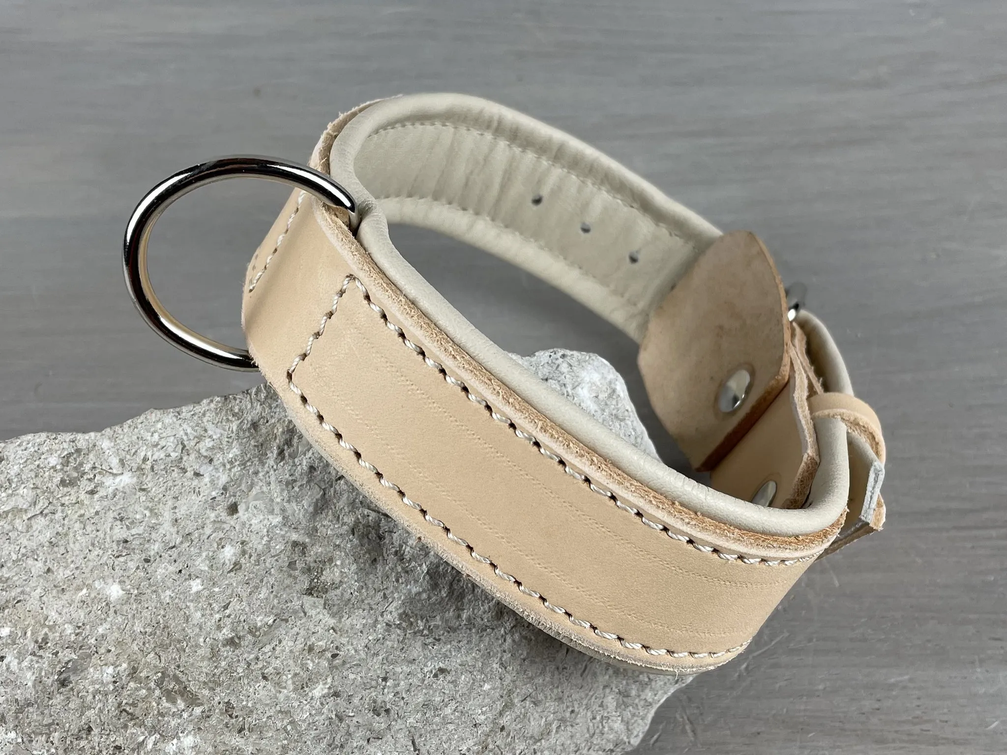 Padded Leather Dog Collar with Central Leash Attachment