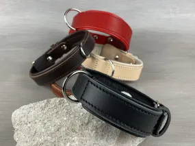 Padded Leather Dog Collar with Central Leash Attachment