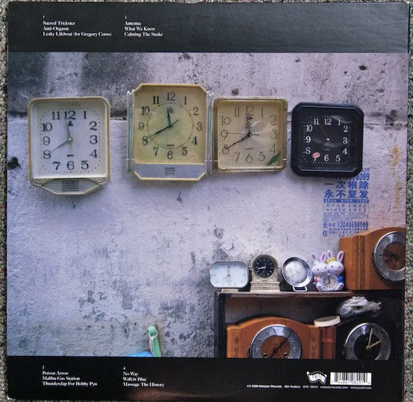 Sonic-Youth* - The Eternal (2xLP, Album, 180) (VG )